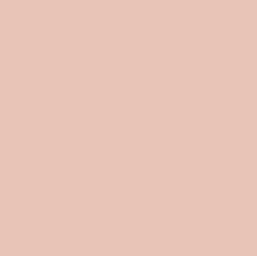 Lee #184 - Cosmetic Peach - 21" x 24" Sheet