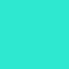 Lee #219 - Fluorescent Green - 21" x 24" Sheet