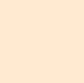 Lee #223 - 1/8 C.T. Orange