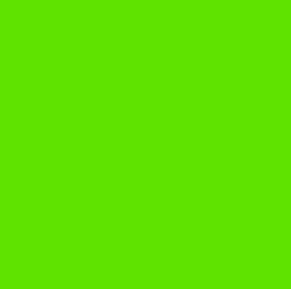 Lee #738 - Jas Green - 21" x 24" Sheet
