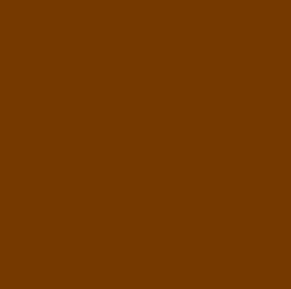 Lee #746 - Brown - 21" x 24" Sheet