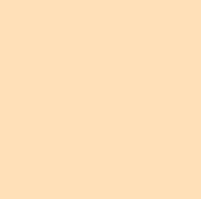 Rosco #08 - Pale Gold - 20" x 24" Sheet
