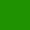 Rosco #2004 - Storaro Green - 20" x 24" Sheet