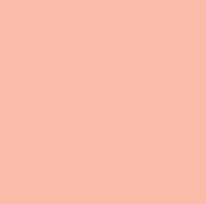 Rosco #304 - Pale Apricot - 20" x 24" Sheet
