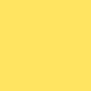 Rosco #313 - Light Relief Yellow - 20" x 24" Sheet