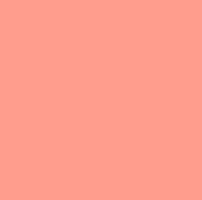 Rosco #331 - Shell Pink - 20" x 24" Sheet