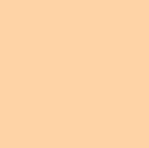 Rosco #3442 - Half Straw (1/2 CTS) - 20" x 24" Sheet