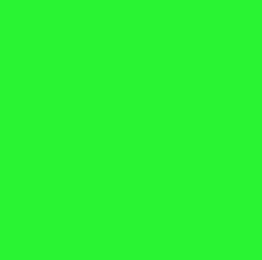 Rosco #389 - Chroma Green - 20" x 24" Sheet
