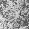 Black on White Granite