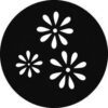 GAM 258 - Daisy Pattern