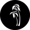 GAM 297 - Palm Trees