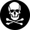 GAM 343 - Skull