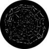 GAM 352 - Cobweb