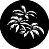 GAM 362 - Palm Leaves