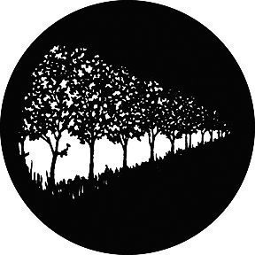 GAM 363 - Row of Trees