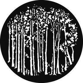 GAM 510 - Reversed Saplings