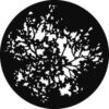 GAM 551 - Summer Branches