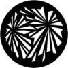 Rosco 71028 - Geometric Explosion