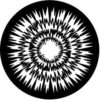 Rosco 77616 - Jagged Circles