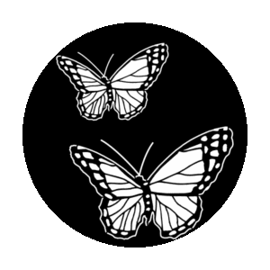 Apollo 1170 - Butterfly Double