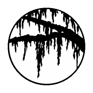 Apollo 3589 - Confederate Mist