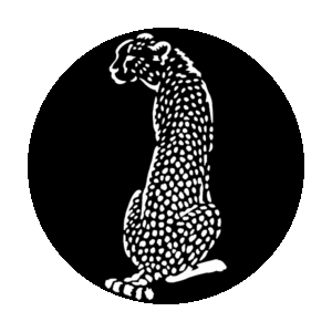 Apollo 4113 - Africa Cheetah