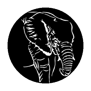 Apollo 4114 - African Elephant